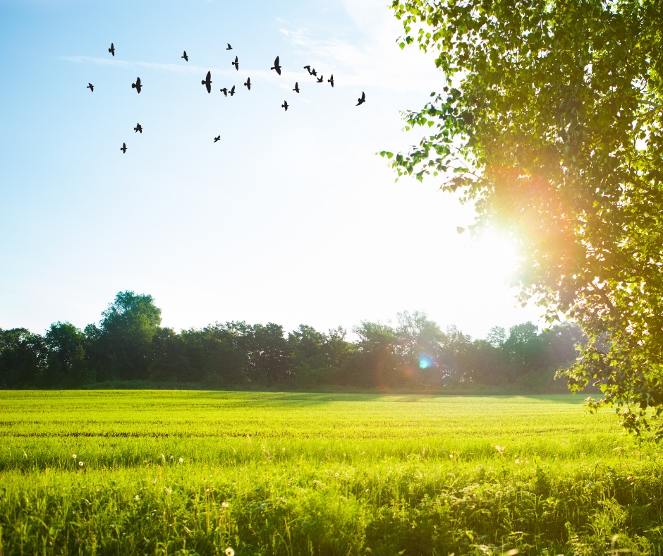 Kinh Doanh  Cao B&aacute;ch Thảo
